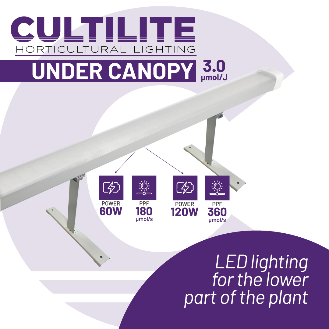 Discover the new UNDER CANOPY lamps by Cultilite