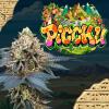 PERFECT TREE SEEDS - PICCHU FEM - 6 SEMI + 3 LH2P OMAGGIO