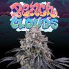 PERFECT TREE SEEDS - PEACH CLOUDS FEM - 6 SEMI + 3 LH2P OMAGGIO