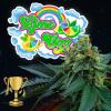 PERFECT TREE SEEDS - LIME OZZ FEM - 6 SEMI + 3 LH2P OMAGGIO