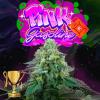 PERFECT TREE SEEDS - PINK GASOLINE FEM - 6 SEMI + 3 LH2P OMAGGIO