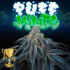 PERFECT TREE SEEDS - PUFF MINTS FEM - 6 SEMI + 3 LH2P OMAGGIO