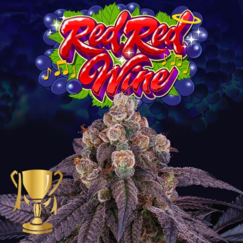 PERFECT TREE SEEDS - RED RED WINE  FEM - 6 SEMI + 3 LH2P OMAGGIO