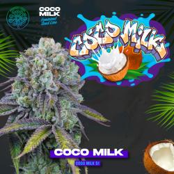 PERFECT TREE SEEDS - LEMON COCONUT FAT BOMB FEM - 6 SEMI + 3 COCO MILK OMAGGIO