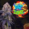 PERFECT TREE SEEDS - LEMON COCONUT FAT BOMB FEM - 6 SEMI + 3 COCO MILK OMAGGIO
