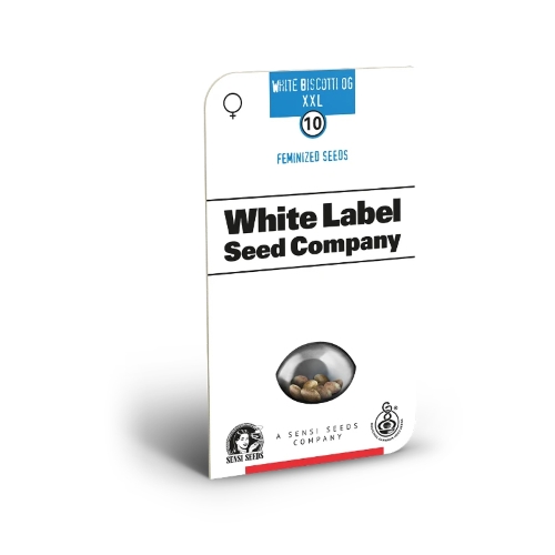WHITE LABEL - WHITE BISCOTTI OG XXL FEM - 10+4 SEEDS