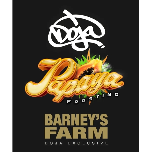 BARNEY'S FARM - PAPAYA FROSTING FEM - 10 SEMI