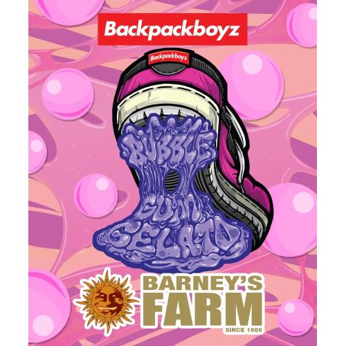 BARNEY'S FARM X BACKPACKBOYZ - BUBBLEGUM GELATO FEM - 5 SEMI