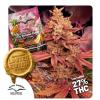 DUTCH PASSION - PINK BANANA RUNTZ FEM - 5 SEEDS - LIMITED EDITION
