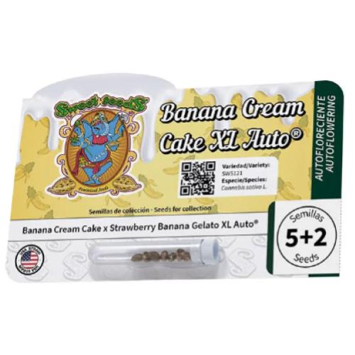 SWEET SEEDS - BANANA CREAM CAKE XL AUTO - 5+2 SEEDS