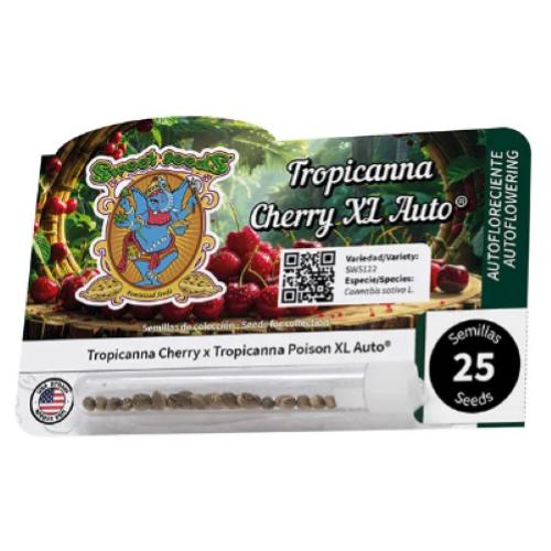 SWEET SEEDS - TROPICANNA CHERRY XL AUTO - 25 SEEDS