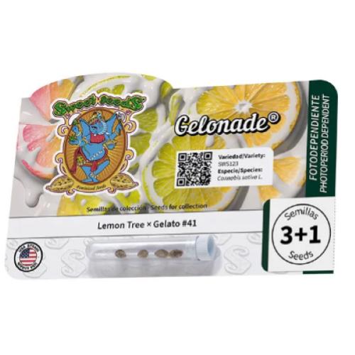 SWEET SEEDS - GELONADE FEM - 3+1 SEMI 