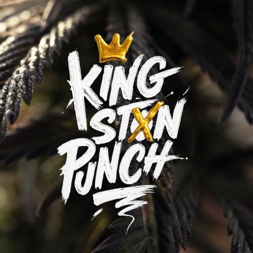 DUTCH PASSION - KINGSTON PUNCH FEM - 3 SEMI