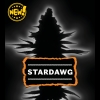 SEED STOCKERS - STARDAWG AUTO - 1000 SEMI