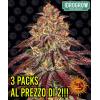 BARNEY'S FARM - MIMOSA X ORANGE PUNCH AUTO - 10 SEMI - 3 PACCHETTI AL PREZZO DI DUE 