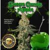 TH SEEDS - GREEN CANDY APPLE FEM LIMITED EDITION - 2 SEEDS