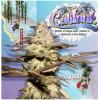 TH SEEDS - CALIFUNK FEM - 6+1 SEEDS