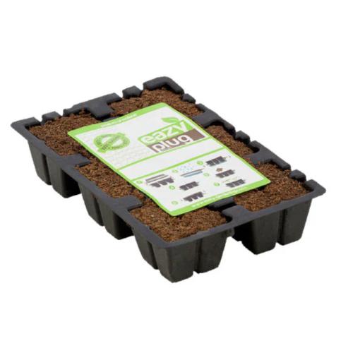 EAZY PLUG - VASSOIO 6 CUBI - Ø3,5 x h3 cm