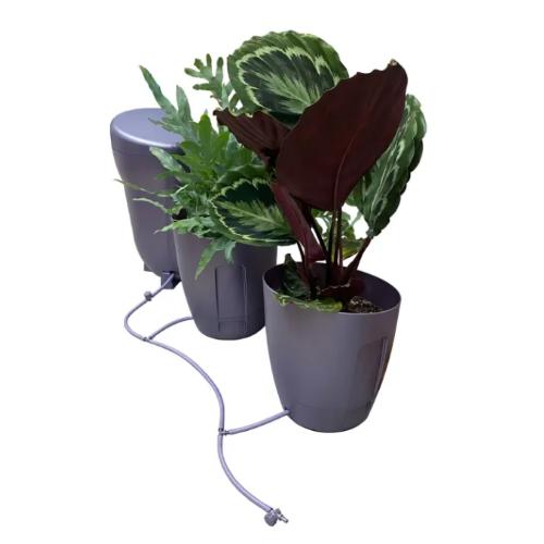 AUTPOPOT - KHORIS WATERING SYSTEM COMPLETE KIT - BLACKBERRY COLOR 