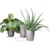 AUTOPOT - KHLORIS VASO IDROPONICO COMPLETO - SALVIA
