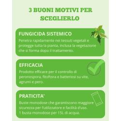 PROTECT GARDEN - MOMENTUM (EX ALIETTE) PFNPE - FUNGICIDA A DOPPIA SISTEMIA - 250GR