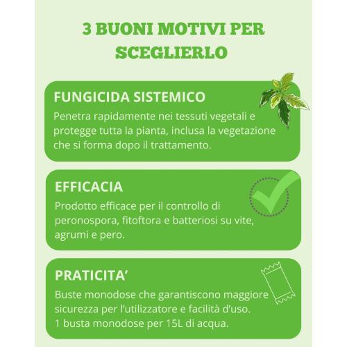 PROTECT GARDEN - MOMENTUM (EX ALIETTE) PFNPE - FUNGICIDA A DOPPIA SISTEMIA - 250GR
