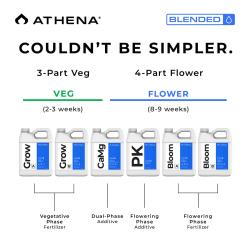 ATHENA - KIT BLENDED LINE TRIAL 8*1L