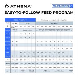 ATHENA - KIT BLENDED LINE TRIAL 8*1L