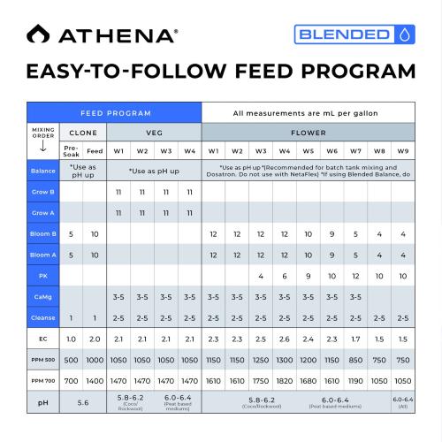 ATHENA - KIT BLENDED LINE TRIAL 8*1L