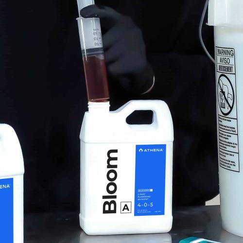 ATHENA - KIT BLENDED LINE TRIAL 8*1L