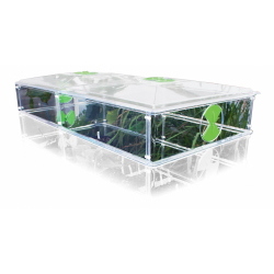 NUTRICULTURE - VITOPOD LARGE 1 RIPIANO ESTENSIONE