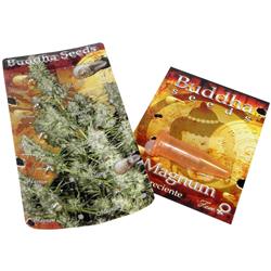 BUDDHA SEEDS - MAGNUM AUTO - BLISTER 10 SEEDS