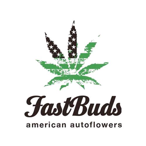 Collectable Seeds-Autoflowering seeds - Fast Bud - FAST BUDS- MEXICAN AIRLINES  AUTO - 1 SEED - Idrogrow