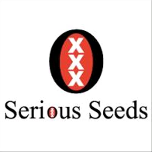 SERIOUS SEEDS - AK47 FEMINIZED - 6 SEEDS
