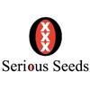 SERIOUS SEEDS - WARLOCK - 6 SEEDS