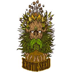 EXOTIC - TANGERINE KUSH FEM - 10 SEMI