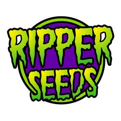RIPPER SEEDS - WASHING MACHINE - 5 SEMI