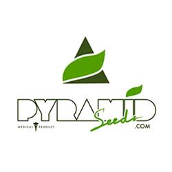 PYRAMID SEEDS -  DOUBLE OG HAZE - 5+2 FREE
