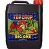 TOP CROP - BIG ONE - 5L