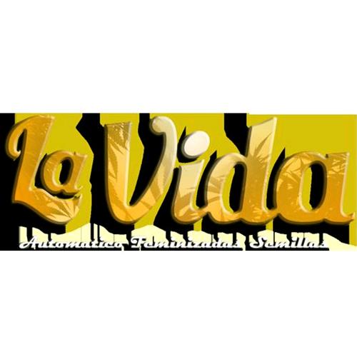 LAVIDA SEEDS - BUGABOO AUTO 3 SEEDS