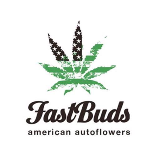 FAST BUDS - GORILLA GLUE AUTO - 10 SEEDS