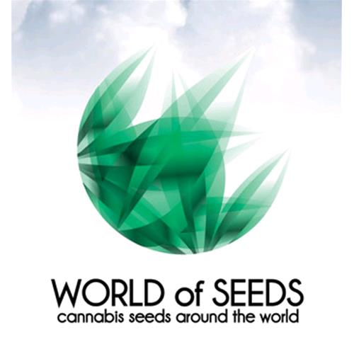 WORLD OF SEEDS - AFGHAN KUSH X BLACK DOMINA 3 SEEDS - MEDICAL COLLECTION