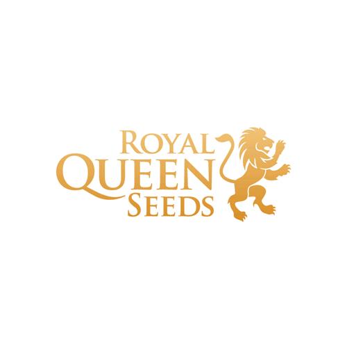 ROYAL QUEEN SEEDS - SOUR DIESEL FEM - 3 SEEDS 