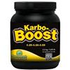 GREEN PLANET - KARBO BOOST 30 GR