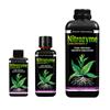 GROWTH TECHNOLOGY - NITROZYME 300ML