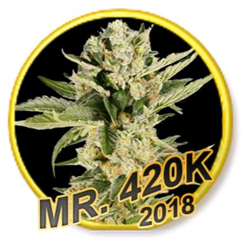 MR. HIDE – MR. 420K FEMINIZED – 1 SEED