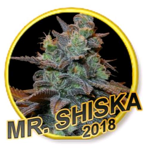 MR. HIDE – MR. SHISKA FEMMINIZZATA – 1 SEME