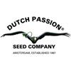 DUTCH PASSION - SNOWBUD ® - 100 SEEDS