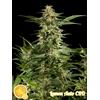 PHILOSOPHER SEEDS - LEMON AUTO CBD - 1 SEME