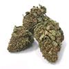 THE MONKEY - FRAGOLINA - BULK 50GR